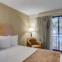 Room #5885657