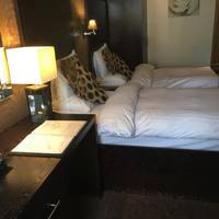 Twin Boutique Room