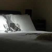 Premium Quadruple Room