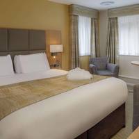 Privilege Room with King bed