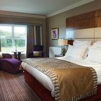 Executive Double or Twin Room