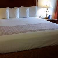King Room with Spa Bath