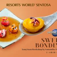 Special Offer: TangYuan Workshop Package - Deluxe Double or Twin Room