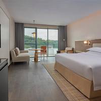 Premium King Bed Room