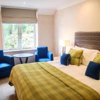 Comfy King Room