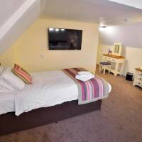 Superior Single Room