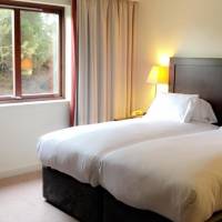 Twin Guest Room