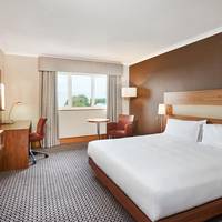 King Hilton Guestroom