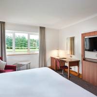 One-Bedroom King Suite