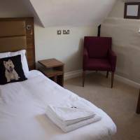 Single Room with Shared Bathroom