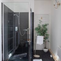 Family Room with Shower