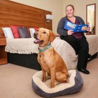 Double or Twin Room - Dog Friendly