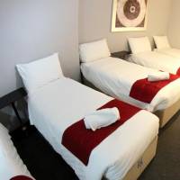 Bed in 8-Bed Dormitory Room