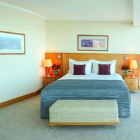 Junior Suite Non Smoking Mountain View