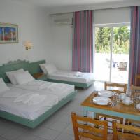 Family Apartment (2-5 Guests)
