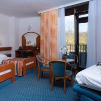 Double or Twin Room with Extra Bed