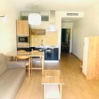 Economy One Bedroom Apartment 