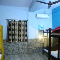 Bed in 4-Bed Mixed Dormitory Room