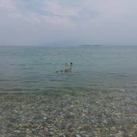 Двухместный с 1 кроватью или 2 отдельными кроватями