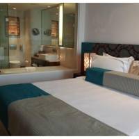 Deluxe Pool View Room King Bed 