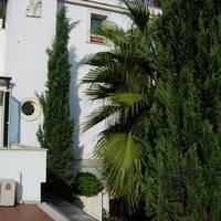 Апартаменты