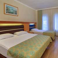 Standard Large Room