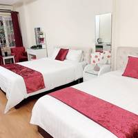 Deluxe Double or Twin Room with City View