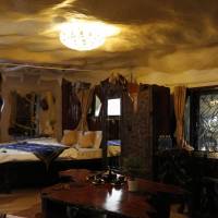 Tiger Room