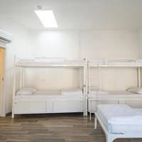 Bed in 6-Bed Dormitory Room