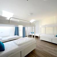 Bed in 8-Bed Dormitory Room