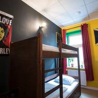 Bed in 12-Bed Mixed Dormitory Room