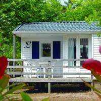 Mobile Home