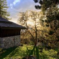 One-Bedroom Chalet