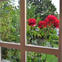 Deluxe Double Room with Garden View