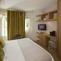 Standard Double or Twin Room with Street View