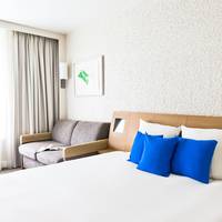 Standard Room with 1 Double Bed and 1 Sofa Bed 