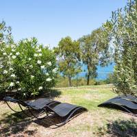 One-Bedroom Apartment with Garden (4 Adults)