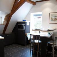 One-Bedroom Apartment with Shower (2-3 Adults) - Dolder
