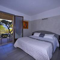 Studio with Garden View