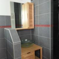 Family Room with Shower