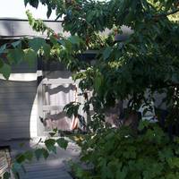 Bungalow 3