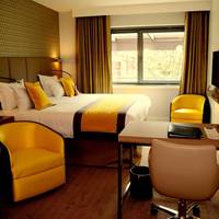 Executive Room with Large Bed and Park View