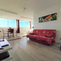 Apartment with Bridge View