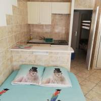 Studio (4 Adults)
