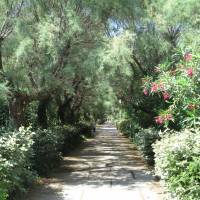 Apartment - Ground Floor - Ulysse Plage 18