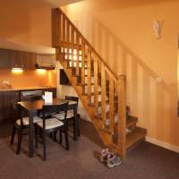  One-Bedroom Apartment ( 2- 4 Adults)