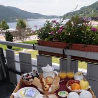 Double or Twin Room with Lake View