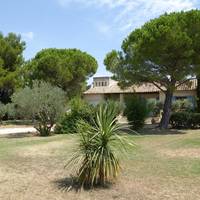 Villa with Garden View