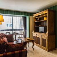Large One-Bedroom Apartment