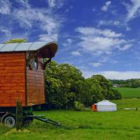 Yurt (4 Adults)